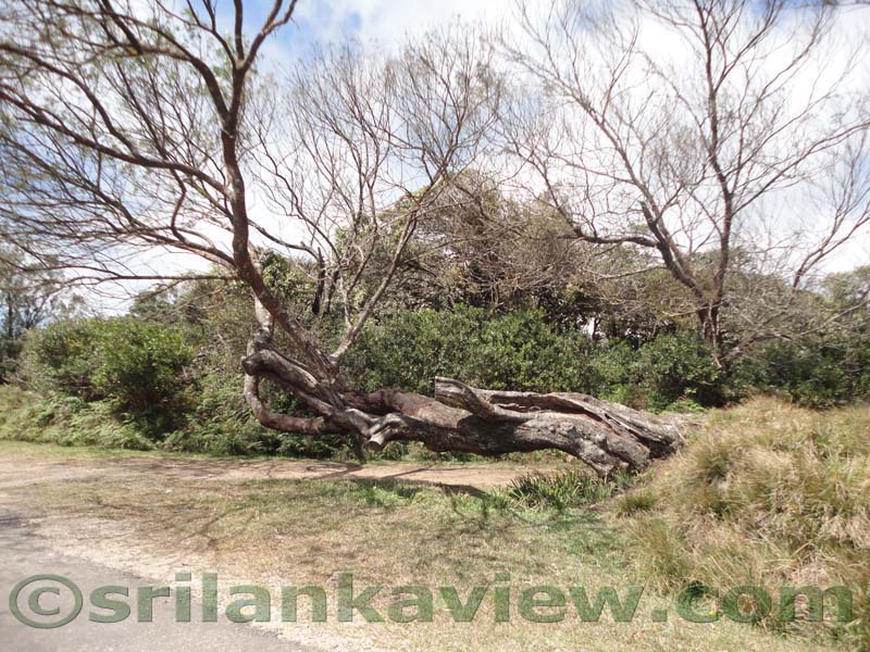 Horton Plains National Park and vicinity