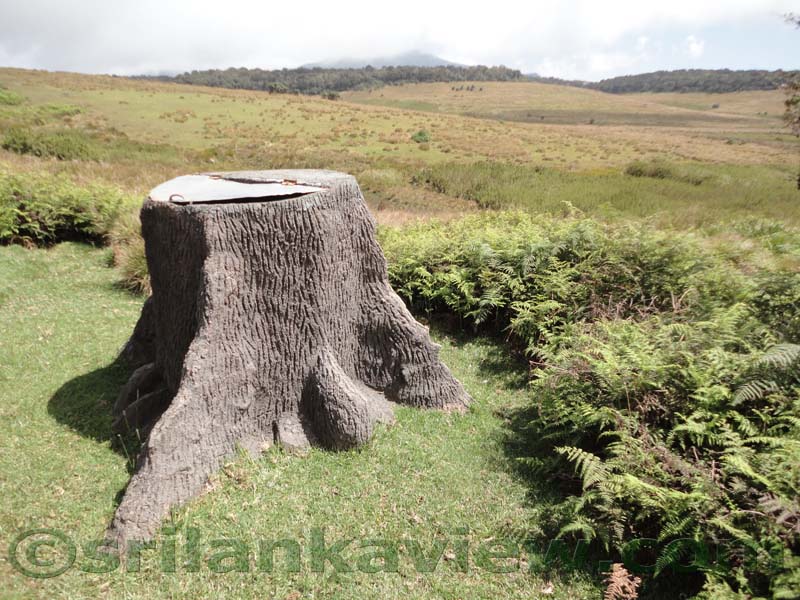 Horton Plains National Park and vicinity
