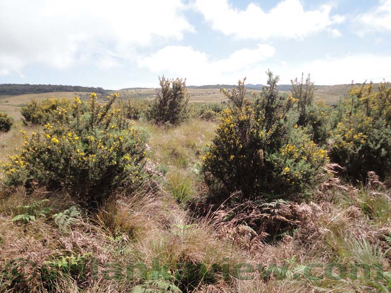 Horton Plains National Park and vicinity