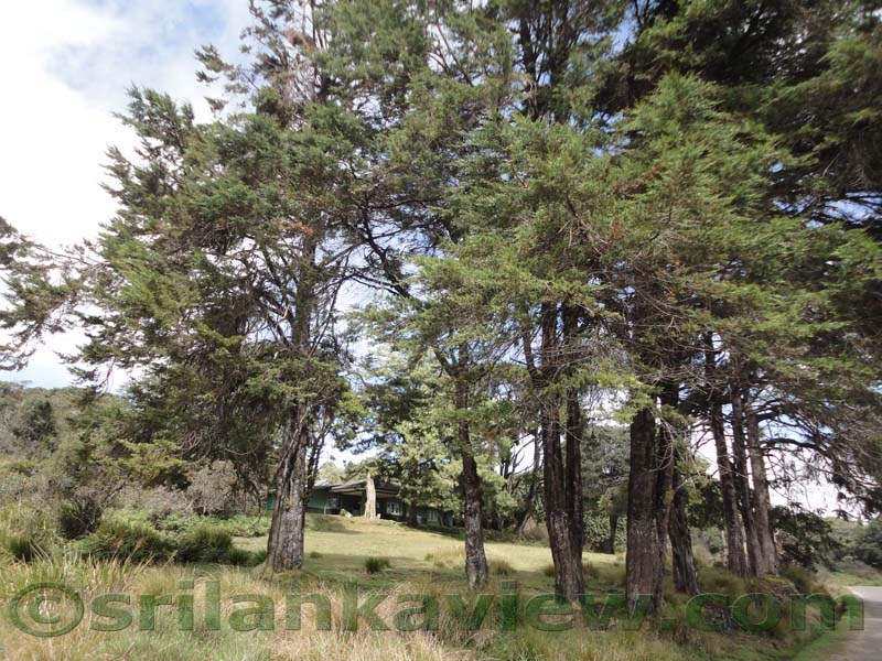 Horton Plains National Park and vicinity