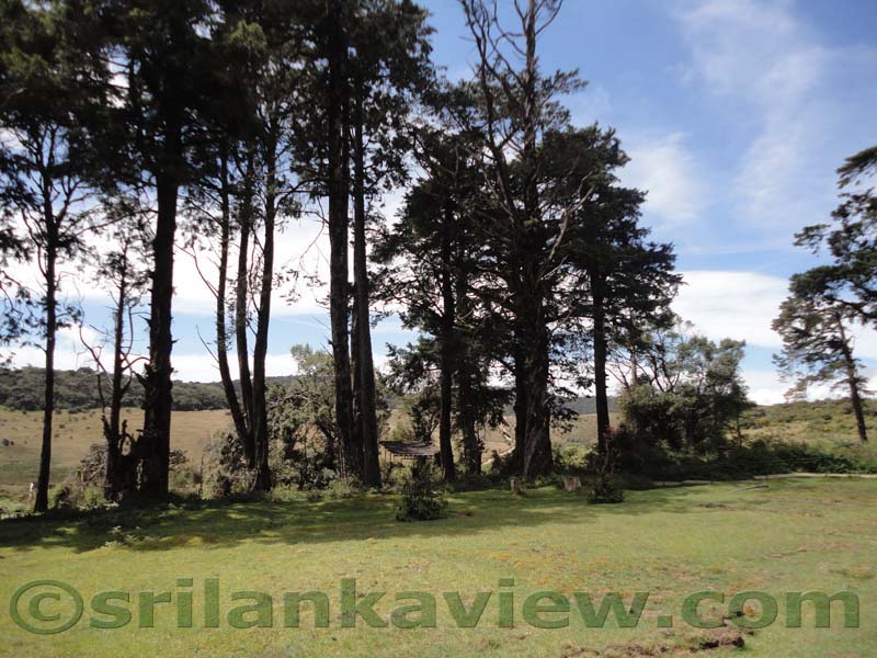 Horton Plains National Park and vicinity