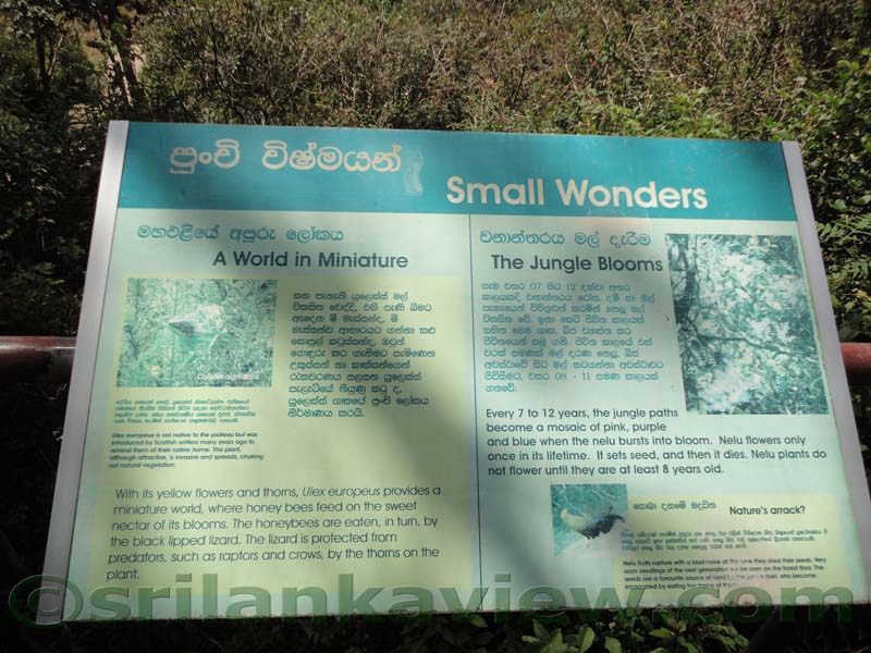 Horton Plains National Park and vicinity