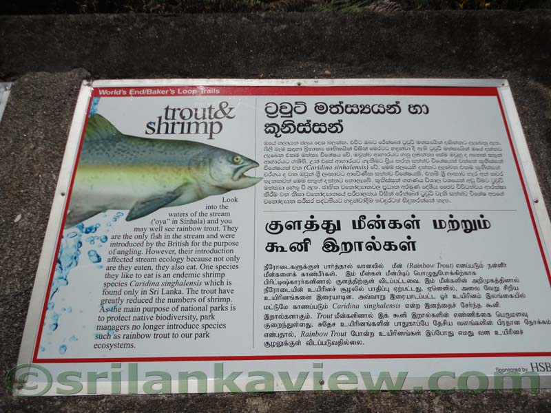 Horton Plains National Park and vicinity