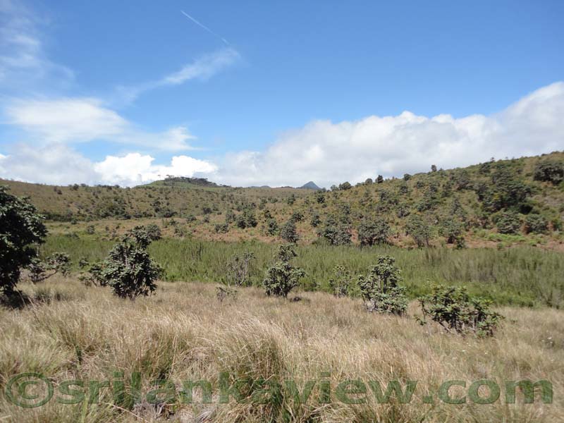 Horton Plains National Park and vicinity