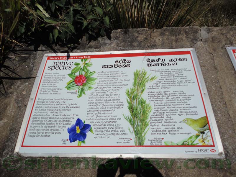 Horton Plains National Park and vicinity