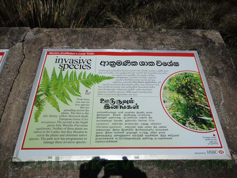 Horton Plains National Park and vicinity