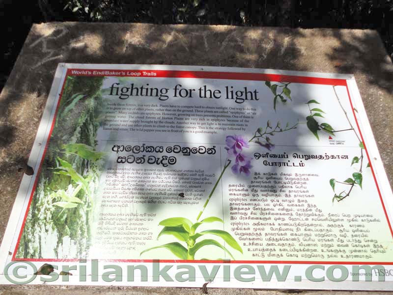 Horton Plains National Park and vicinity