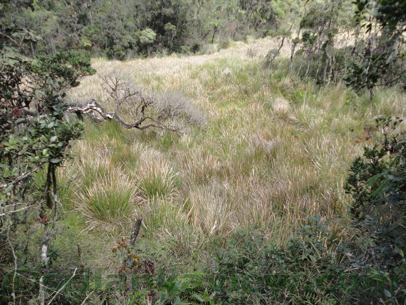 Horton Plains National Park and vicinity