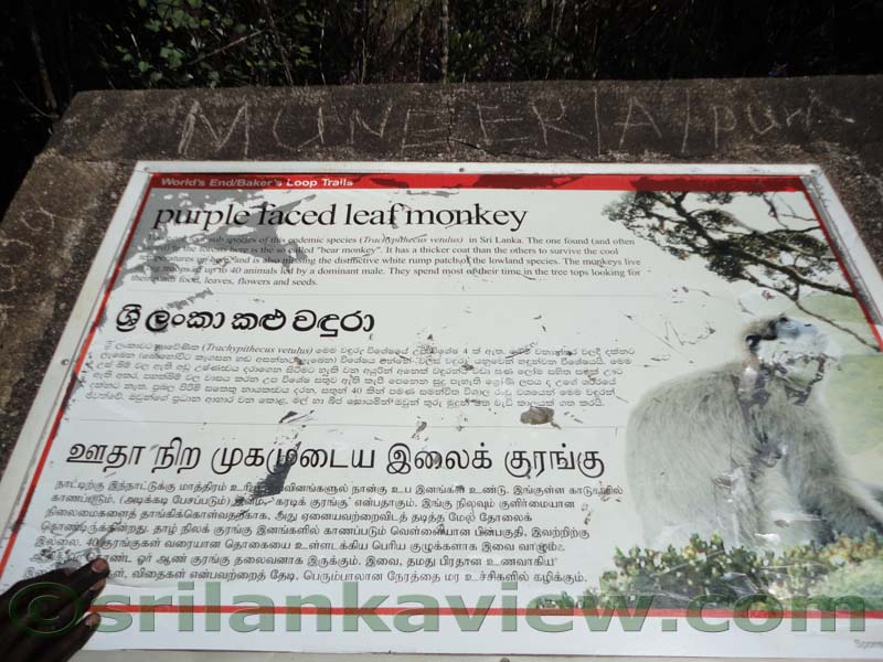 Horton Plains National Park and vicinity