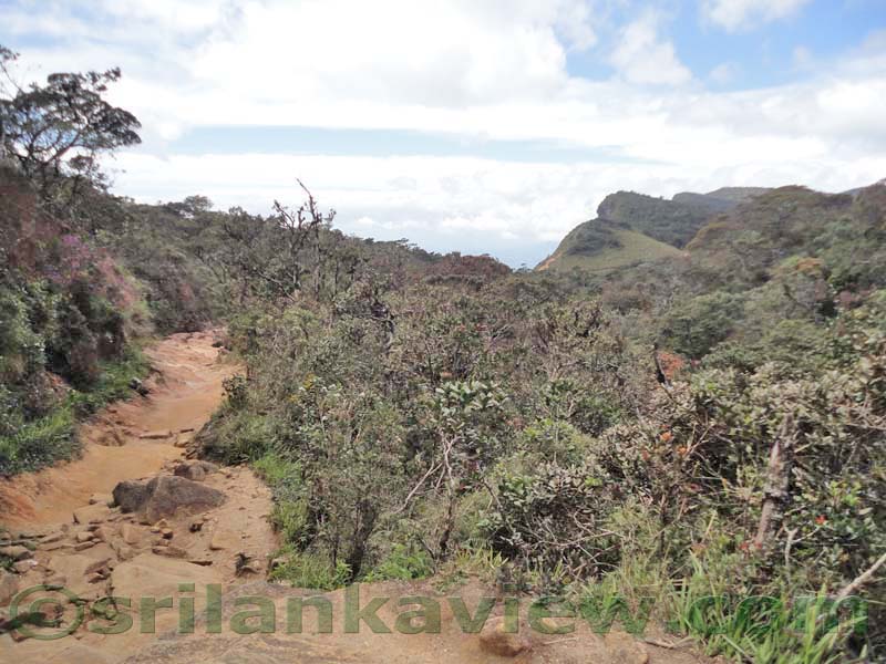 Horton Plains National Park and vicinity