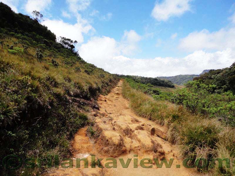 Horton Plains National Park and vicinity