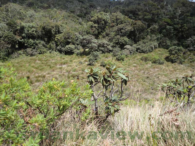 Horton Plains National Park and vicinity
