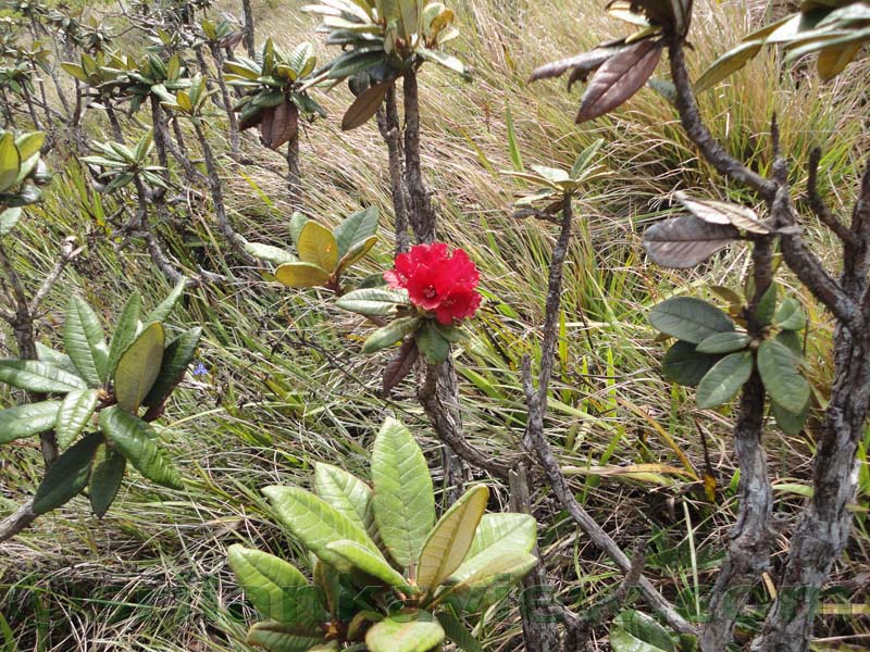 Horton Plains National Park and vicinity