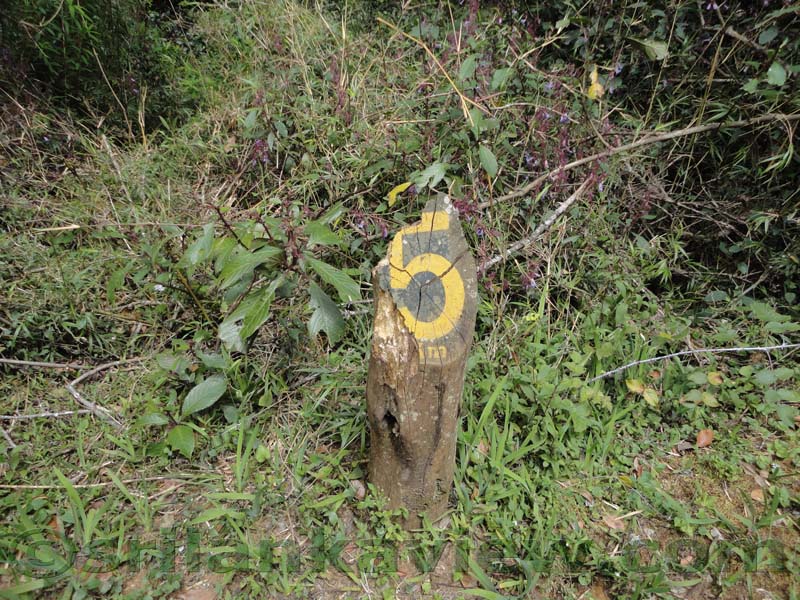 Horton Plains National Park and vicinity