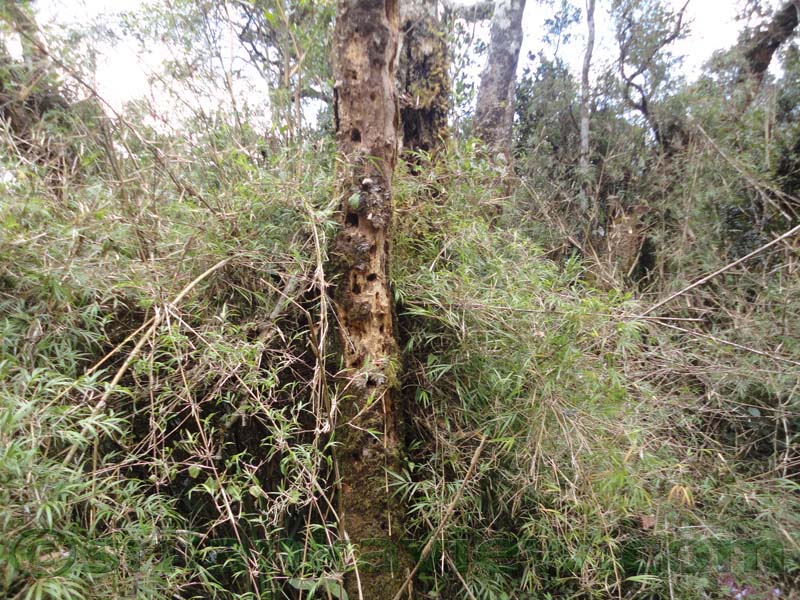Horton Plains National Park and vicinity