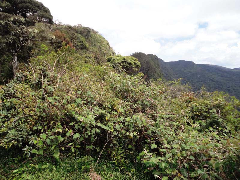 Horton Plains National Park and vicinity