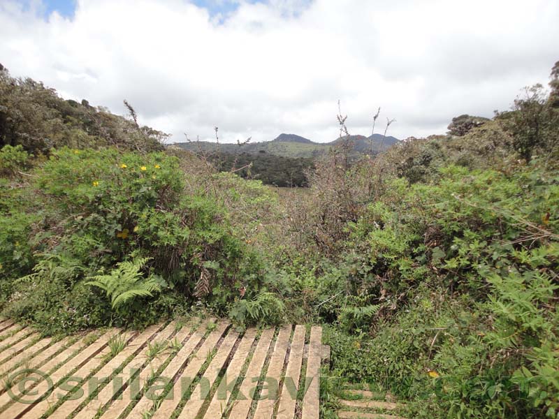 Horton Plains National Park and vicinity