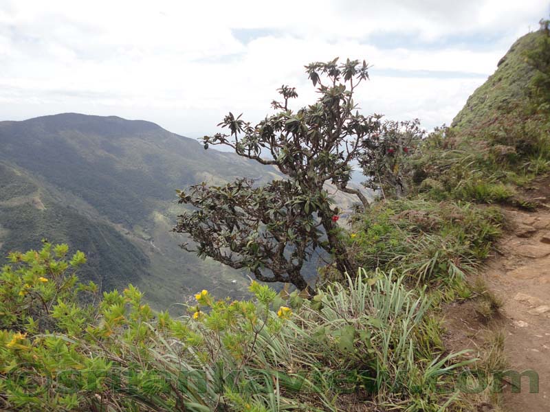Horton Plains National Park and vicinity