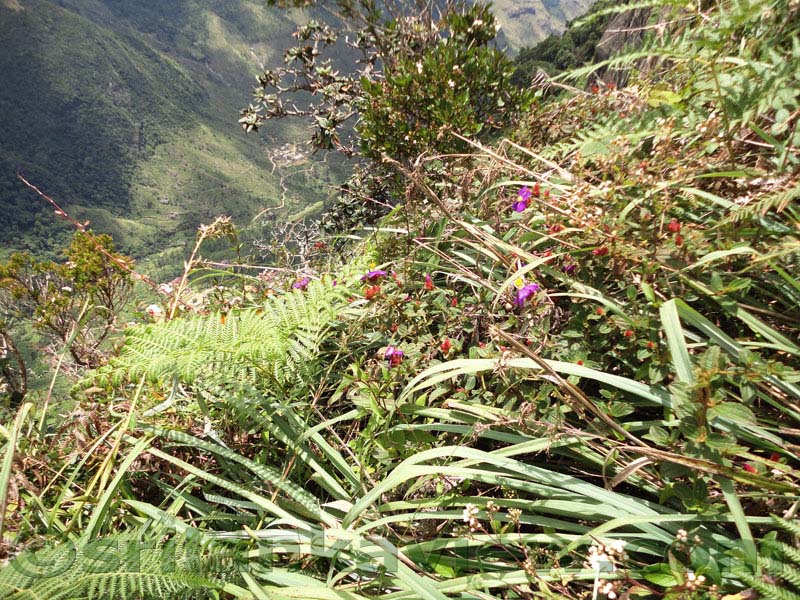 Horton Plains National Park and vicinity