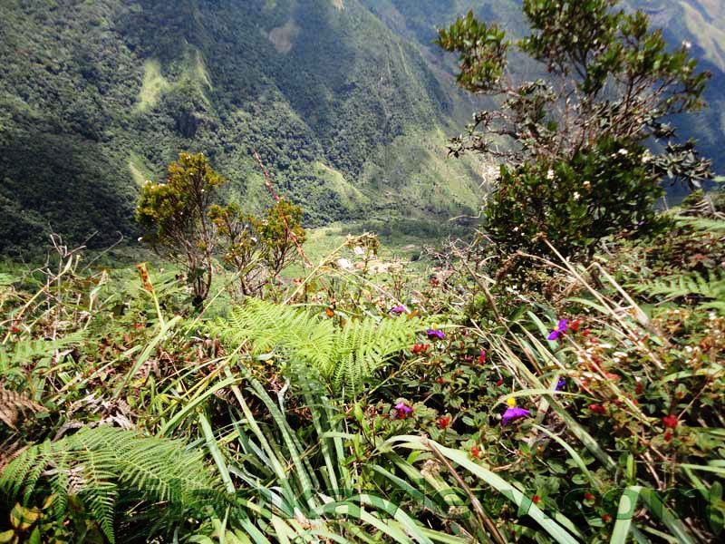 Horton Plains National Park and vicinity