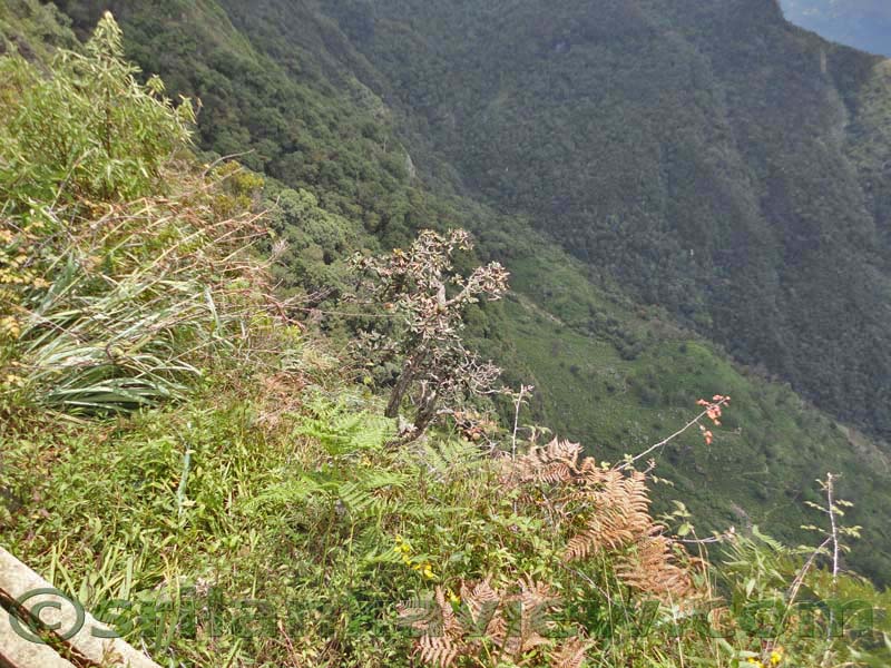 Horton Plains National Park and vicinity