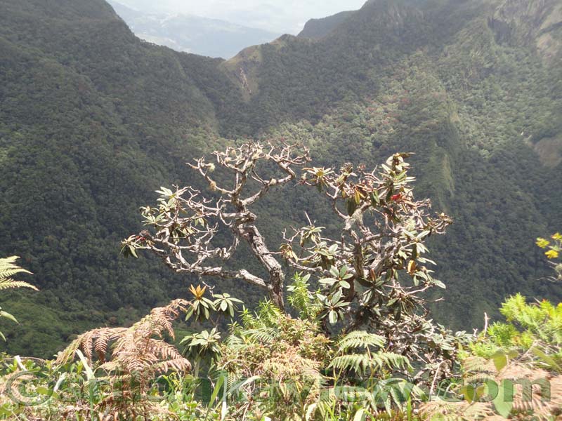 Horton Plains National Park and vicinity