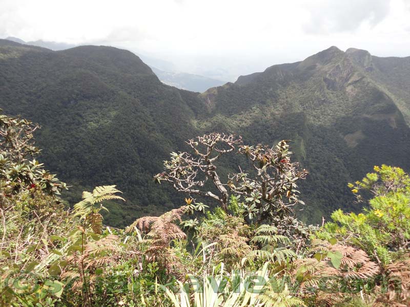 Horton Plains National Park and vicinity