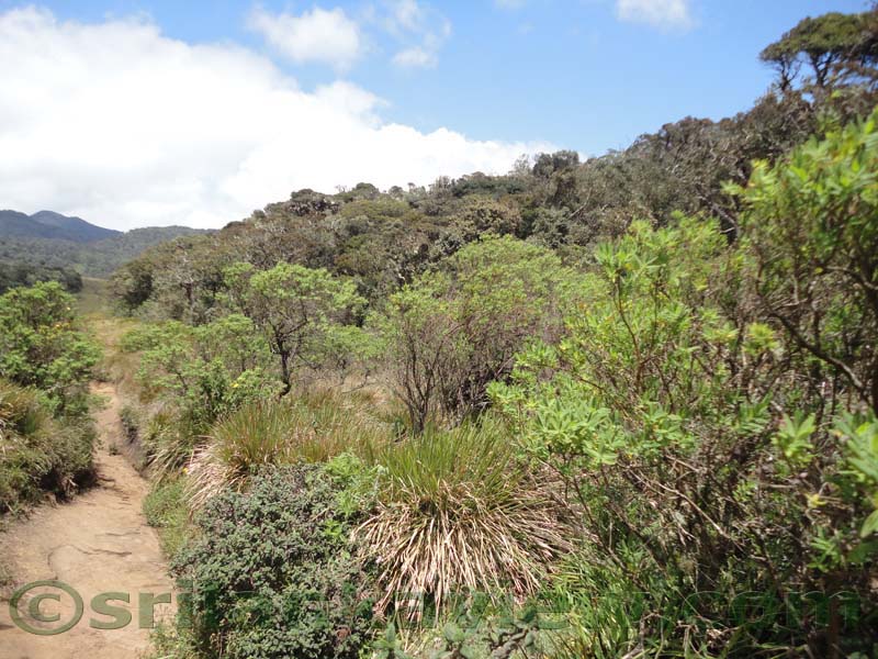 Horton Plains National Park and vicinity