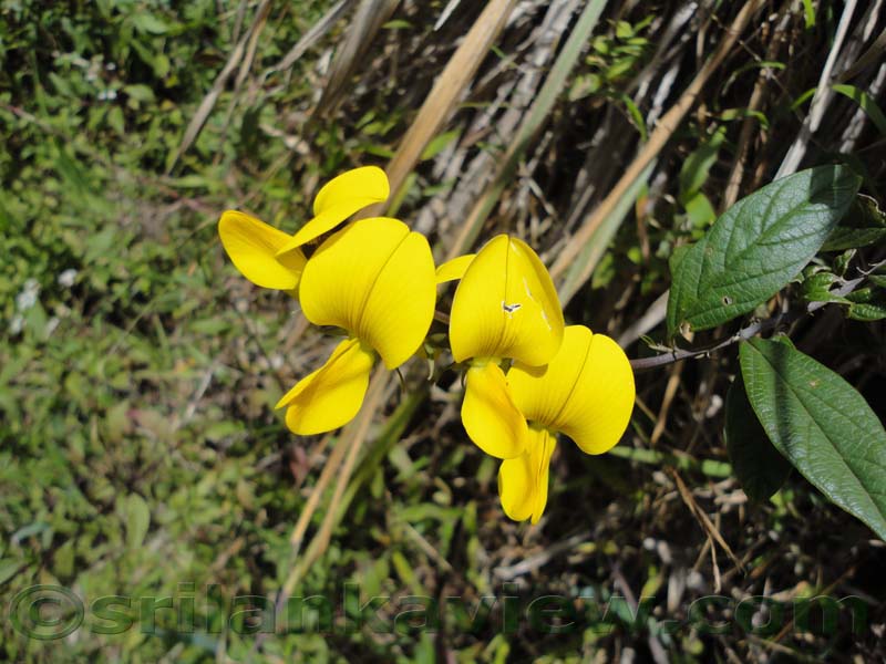Horton Plains National Park and vicinity