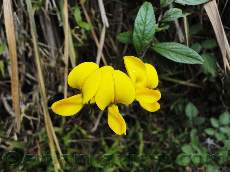 Horton Plains National Park and vicinity