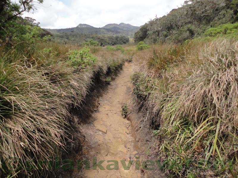 Horton Plains National Park and vicinity