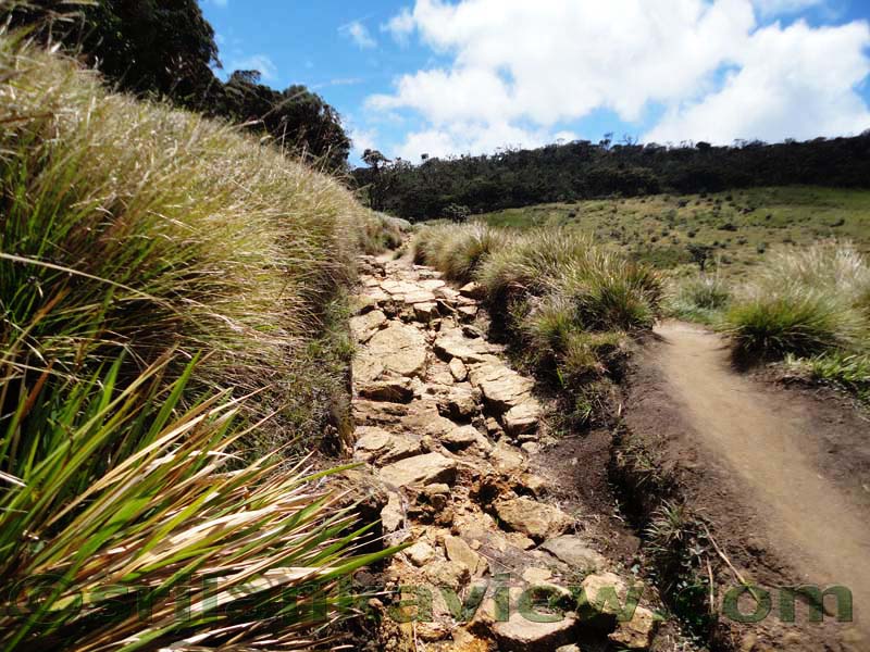Horton Plains National Park and vicinity