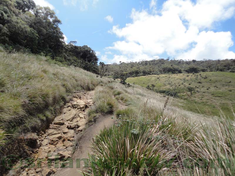 Horton Plains National Park and vicinity