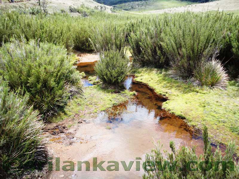 Horton Plains National Park and vicinity