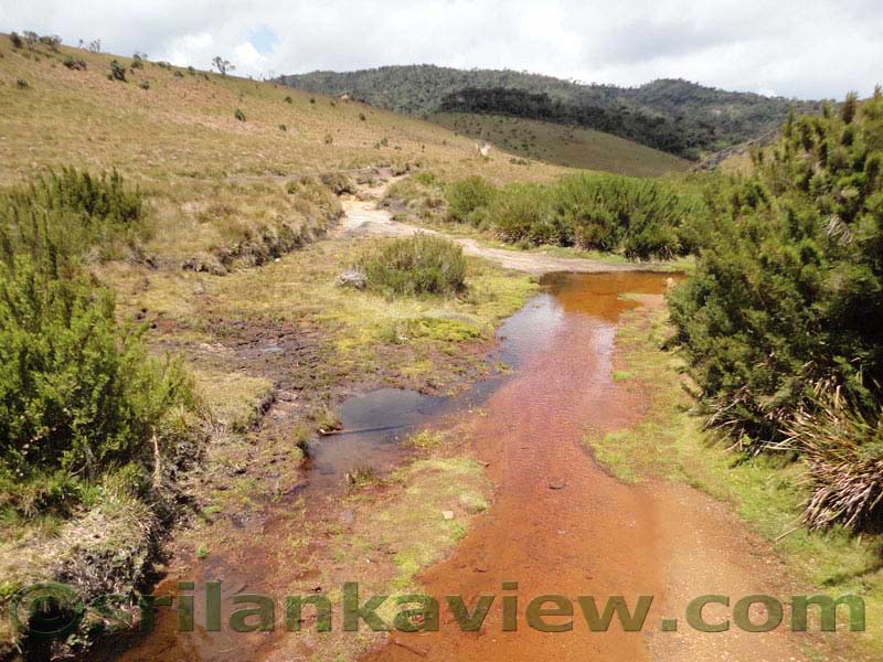 Horton Plains National Park and vicinity