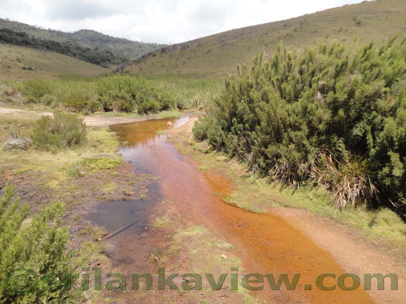 Horton Plains National Park and vicinity