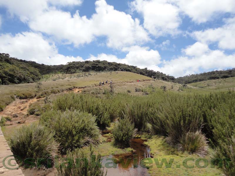 Horton Plains National Park and vicinity