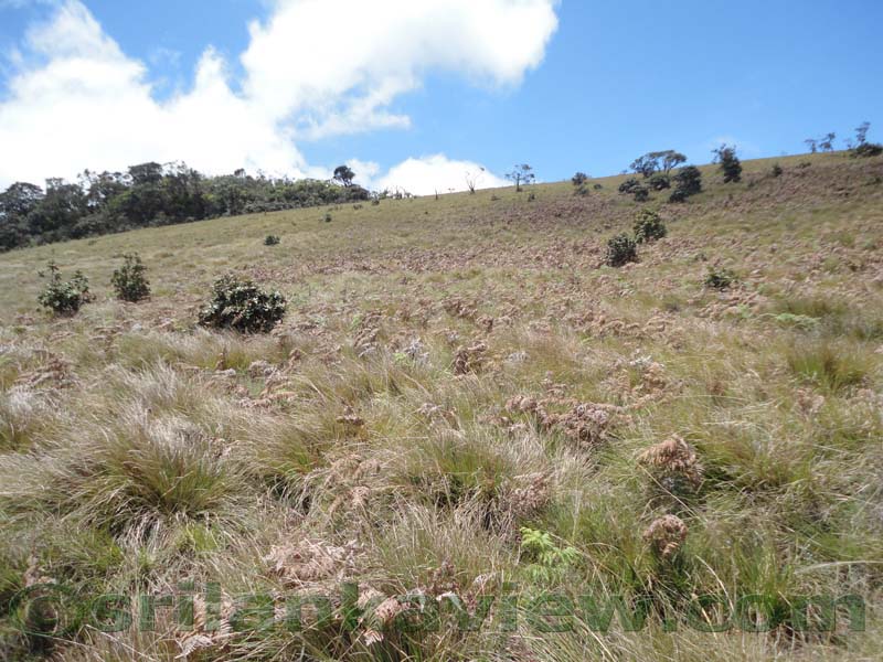 Horton Plains National Park and vicinity