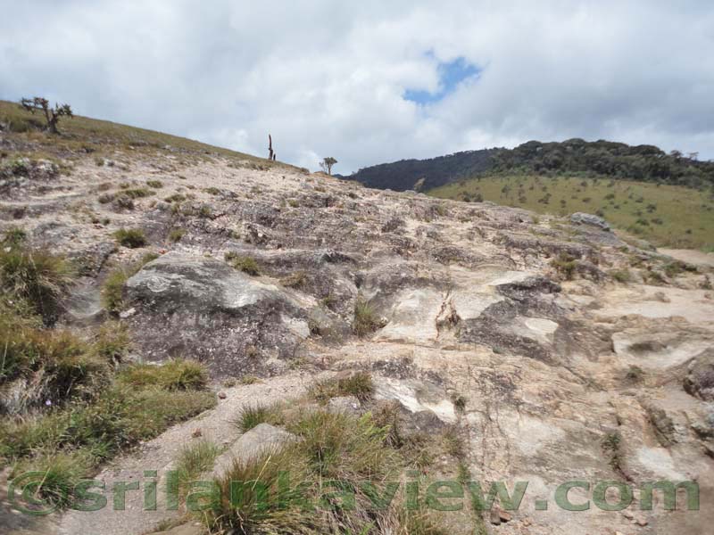 Horton Plains National Park and vicinity