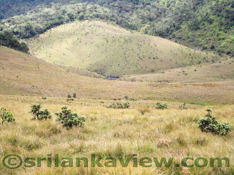 Horton Plains National Park and vicinity