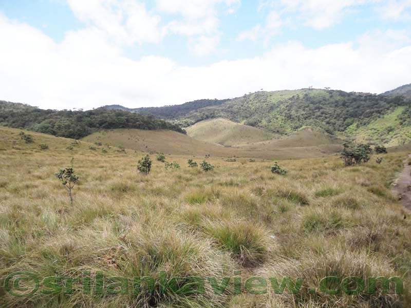 Horton Plains National Park and vicinity