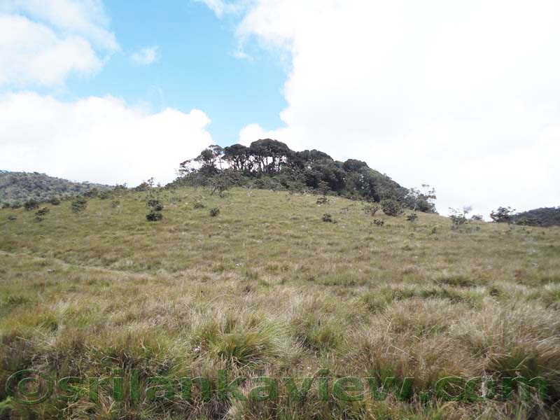 Horton Plains National Park and vicinity