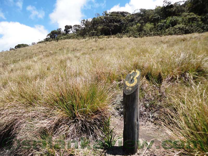 Horton Plains National Park and vicinity