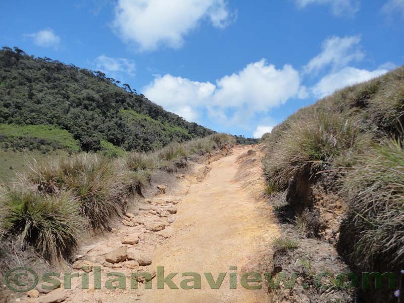 Horton Plains National Park and vicinity