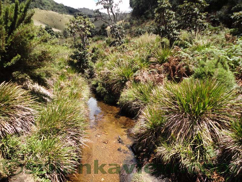 Horton Plains National Park and vicinity