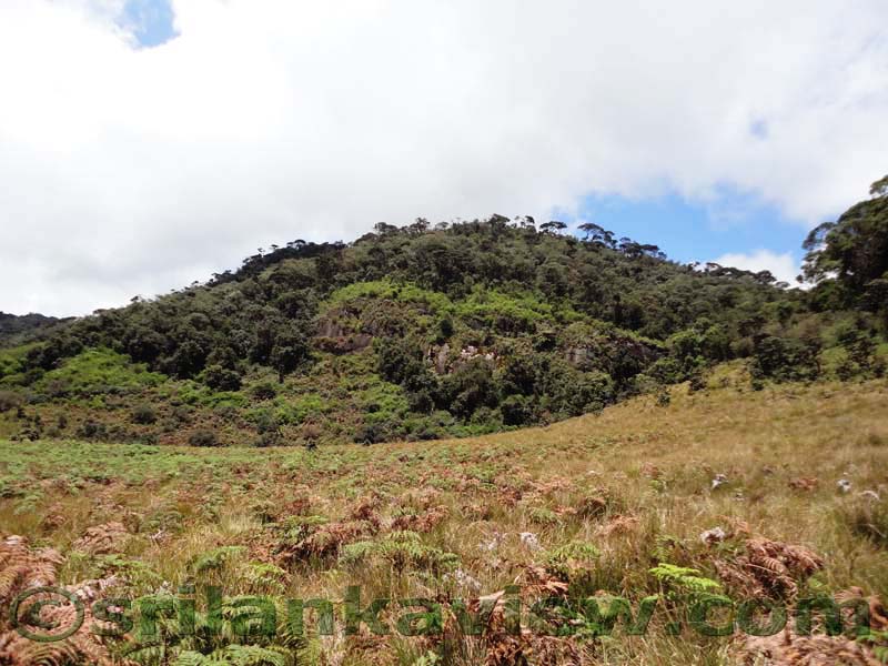 Horton Plains National Park and vicinity