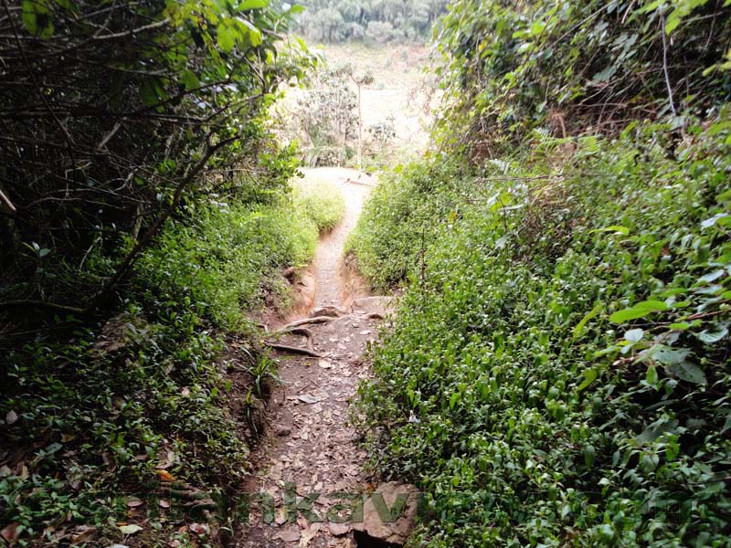 Horton Plains National Park and vicinity