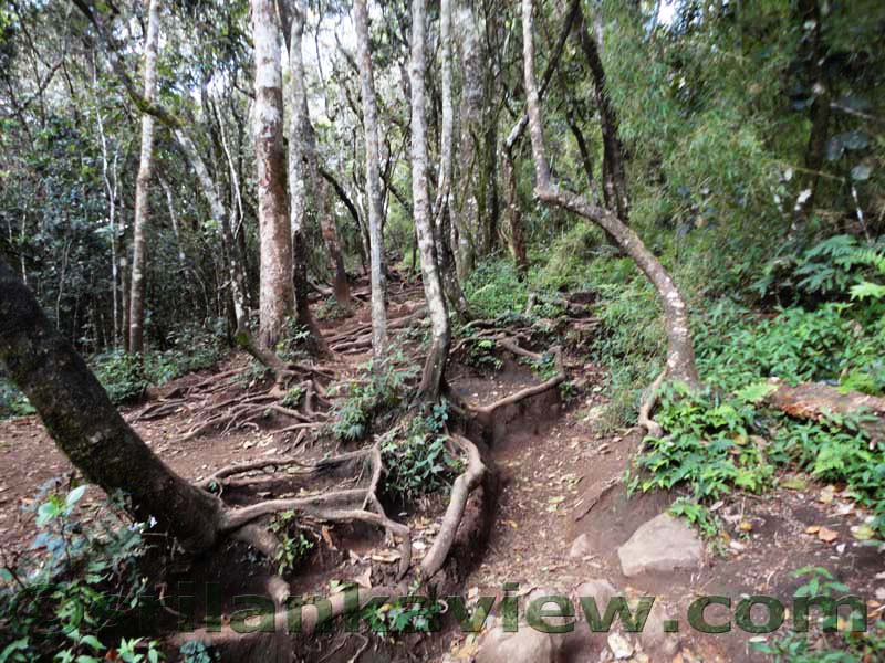 Horton Plains National Park and vicinity