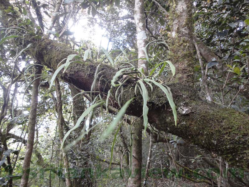 Horton Plains National Park and vicinity