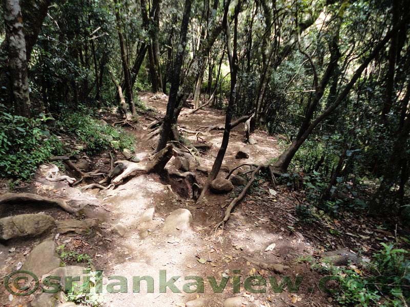 Horton Plains National Park and vicinity